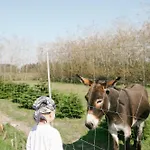 Klit Glamping * Løkken