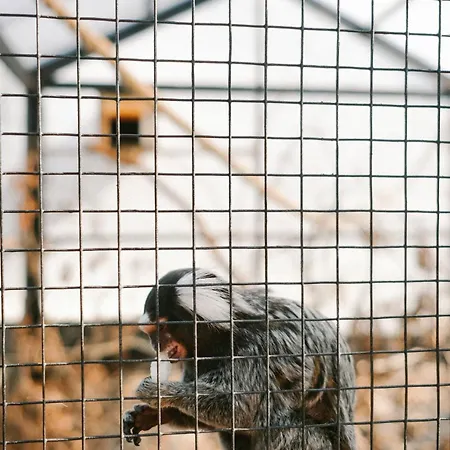 Klit Glamping Lyxtält *