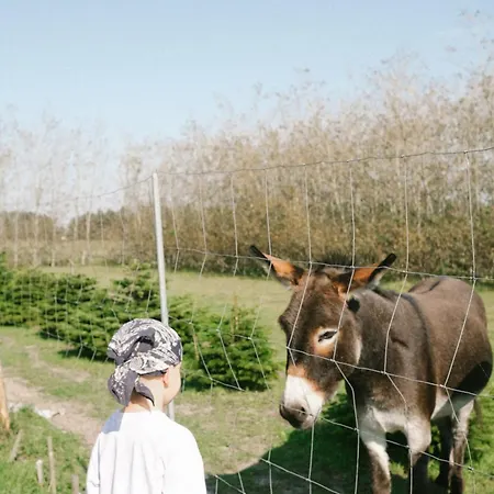 Klit Glamping * לוקן